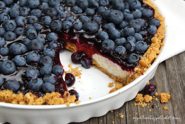 photo of cheesecake with blueberries