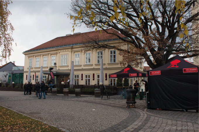 Vinarium - Adi Bittermann