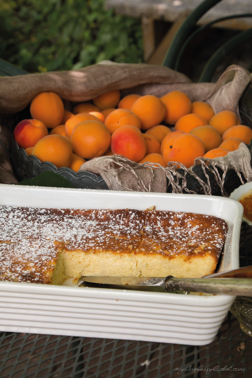 photo of curd cheese pudding with apricot preserve