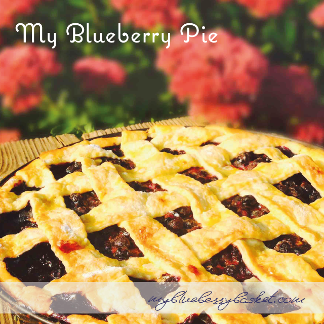 My Blueberry Pie
