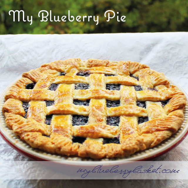 photo of my blueberry pie