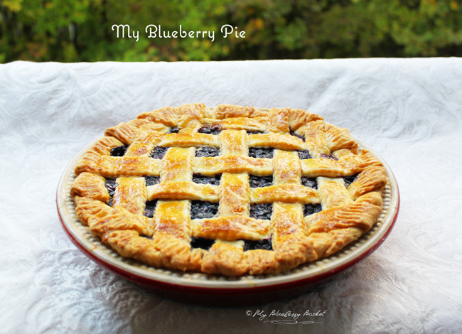 photo of my blueberry pie