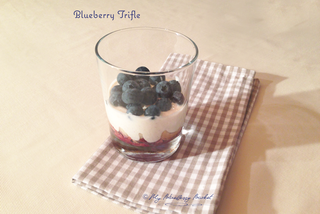 photo of blueberry trifle