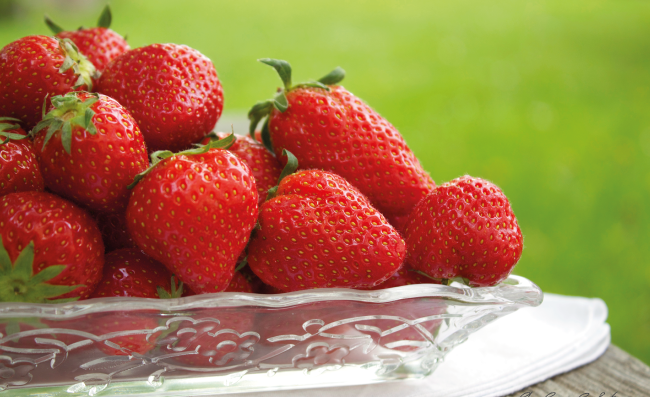 Foto von Erdbeeren im Garten